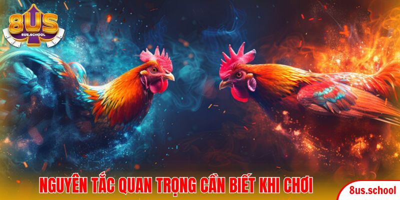 Nguyên tắc quan trọng cần biết khi chơi