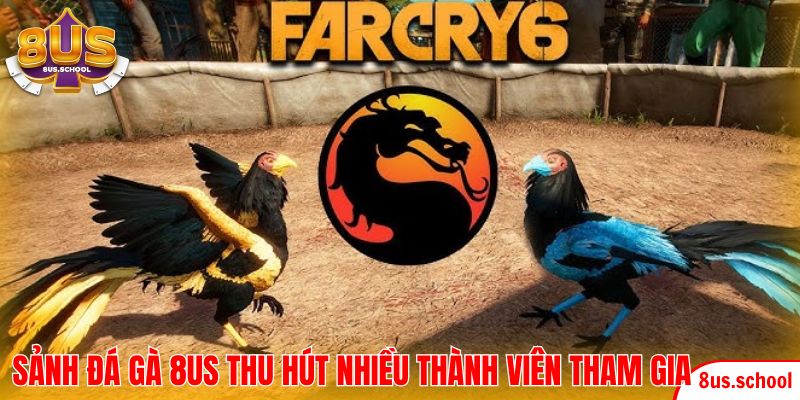 Sảnh đá gà 8US thu hút nhiều thành viên tham gia