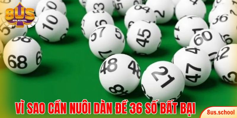 Vì sao nên lập và nuôi dàn đề 36 số bất bại?